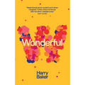 Wonderful - Paperback