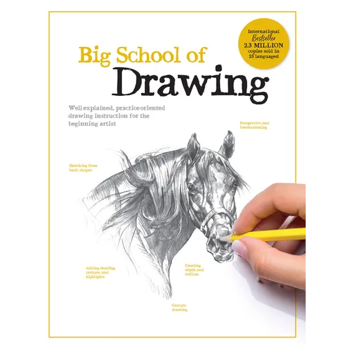 Big School of Drawing: Well-Explained, Practice-Oriented Drawing Instruction for the Beginning Artist - Paperback