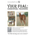 Your Foal: Essential Training - Paperback