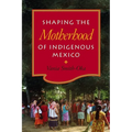 Shaping the Motherhood of Indigenous Mexico - Hardcover