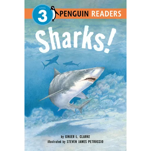 Sharks! - Paperback