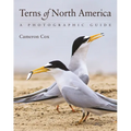 Terns of North America: A Photographic Guide - Paperback