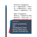 Deep Learning, an introduction with two nice short examples - Paperback