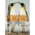 Penguins in the Wild - Paperback