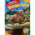 Beavers - Library Binding