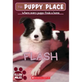 Flash (the Puppy Place #6) - Paperback