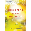 Disasters in the First World: Stories - Paperback