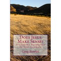 Does Jesus Make Sense?: A Layman's Perspective on God Incarnate - Paperback