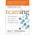 Teaming: How Organizations Learn, Innovate, and Compete in the Knowledge Economy - Hardcover