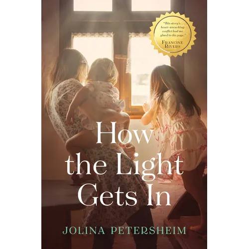 How the Light Gets in - Paperback