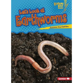 Let's Look at Earthworms - Paperback