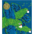 Parrots Over Puerto Rico - Paperback