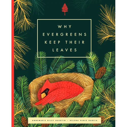 Why Evergreens Keep Their Leaves - Hardcover