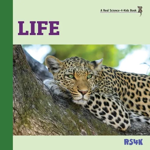 Life - Paperback