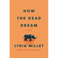 How the Dead Dream - Paperback