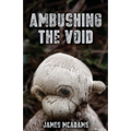 Ambushing the Void - Paperback