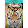 Tigers - Paperback