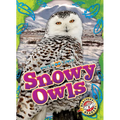 Snowy Owls - Library Binding