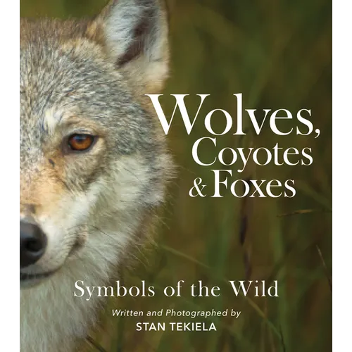 Wolves, Coyotes & Foxes: Symbols of the Wild - Paperback