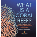 What is a Coral Reef? Role of a Coral Reef Functions of Cnidarians and Sponges Grade 6-8 Life Science - Hardcover