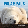 Polar Pals - Board Book