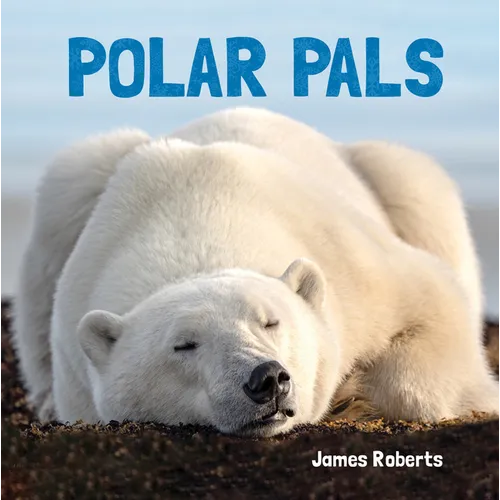 Polar Pals - Board Book