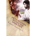 METH Madness Within The Addiction - Paperback