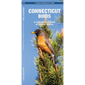 Connecticut Birds: A Folding Pocket Guide to Familiar Species