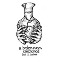 A broken vase, envenomed - Paperback