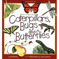 Caterpillars, Bugs and Butterflies - Paperback