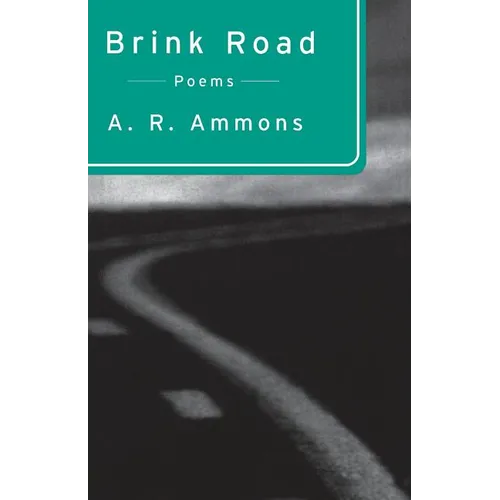 Brink Road: Poems - Paperback