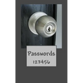 Passwords: 123456 - Paperback