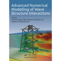 Advanced Numerical Modelling of Wave Structure Interaction - Paperback