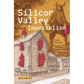 Silicon Valley Imperialism: Techno Fantasies and Frictions in Postsocialist Times - Paperback