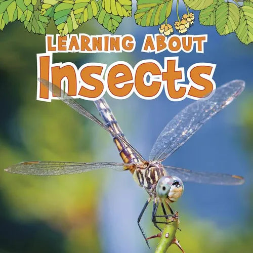 Learning about Insects - Paperback