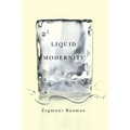 Liquid Modernity - Hardcover