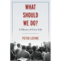 What Should We Do?: A Theory of Civic Life - Hardcover