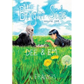 The Bright Side: Vol 1: Dee & Em - Paperback