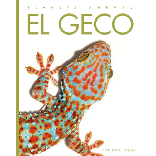 El Geco - Paperback