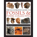 The Illustrated Guide to Fossils & Fossil Collecting: A Reference Guide to Over 375 Plant and Animal Fossils from Around the Globe and How to Identify - Hardcover