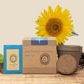 Dwarf Sunflower Beginner Grow Kit