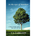 In the Eyes of Matthew - Paperback