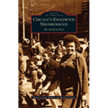 Chicago's Englewood Neighborhood: At the Junction - Hardcover