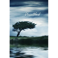 Unsettled - Paperback