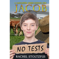 A Lancaster Amish School for Jacob - Paperback