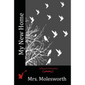 My New Home - Paperback