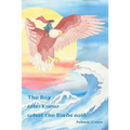 The Boy who Knew what the Birds said - Paperback