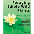 Foraging Edible Wild Plants of New England: A Guide to Identifying, Harvesting, and Preparing 90 Wild Plants - Paperback