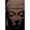 Absorption. Human Nature and Buddhist Liberation - Paperback