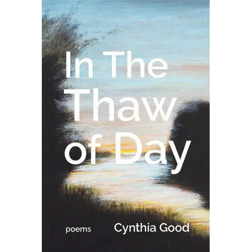 In The Thaw of Day - Paperback